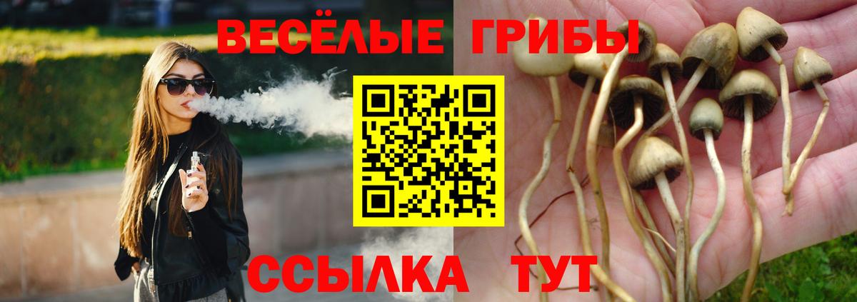 Псилоцибиновые грибы мухоморы  Вход с VPN  Псилоцибиновые грибы MAGIC MUSHROOMS  Моздок 